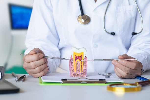 Best Emergency Tooth Extraction in Tellico Village, TN